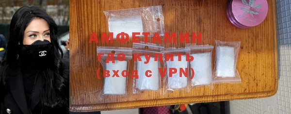 винт Абаза