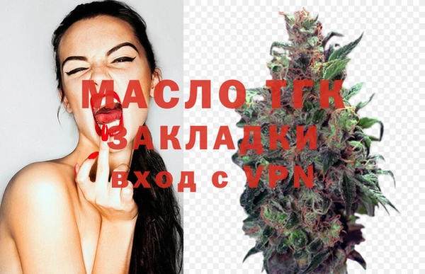 винт Абаза