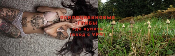 винт Абаза
