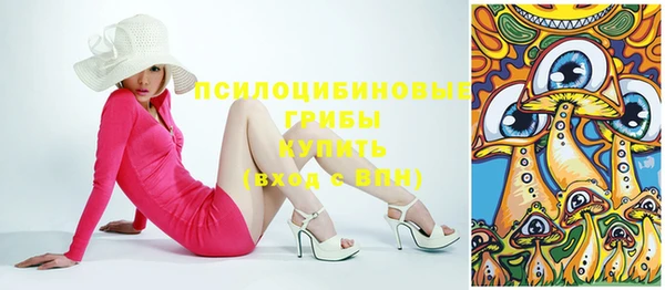 СК Абинск