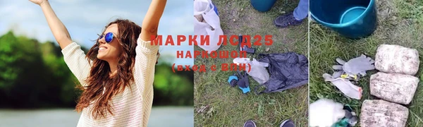 винт Абаза