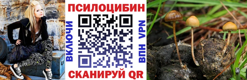 хочу   Красноперекопск  Псилоцибиновые грибы GOLDEN TEACHER 
