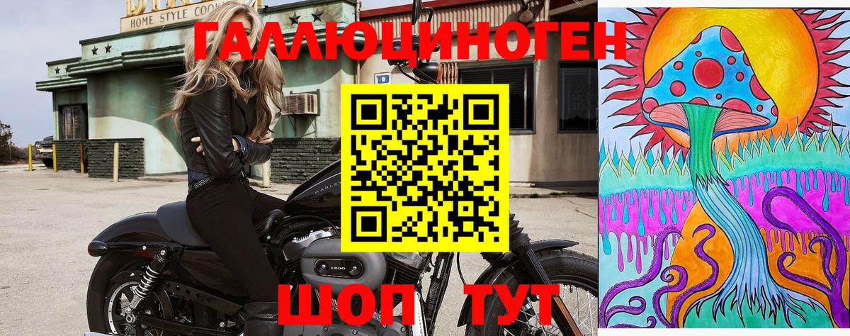 Галлюциногенные грибы Cubensis Красноперекопск
